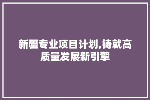 新疆专业项目计划,铸就高质量发展新引擎