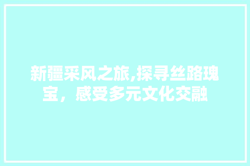 新疆采风之旅,探寻丝路瑰宝，感受多元文化交融