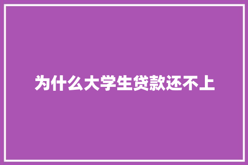 为什么大学生贷款还不上