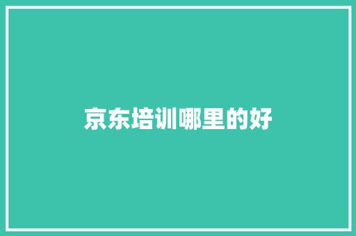 京东培训哪里的好