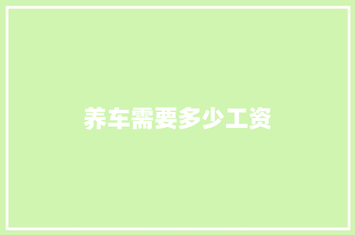 养车需要多少工资
