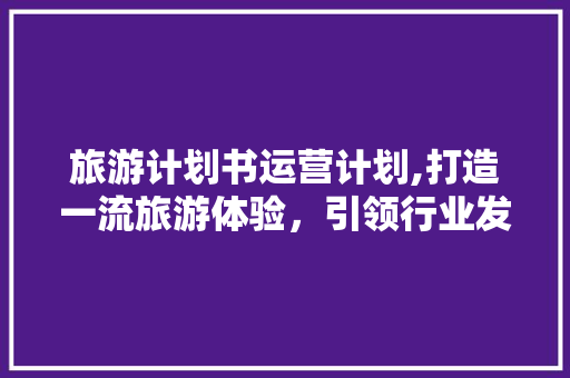旅游计划书运营计划,打造一流旅游体验，引领行业发展新潮流