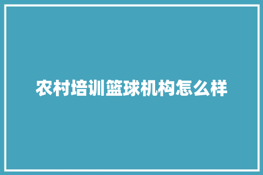 农村培训篮球机构怎么样 特写稿