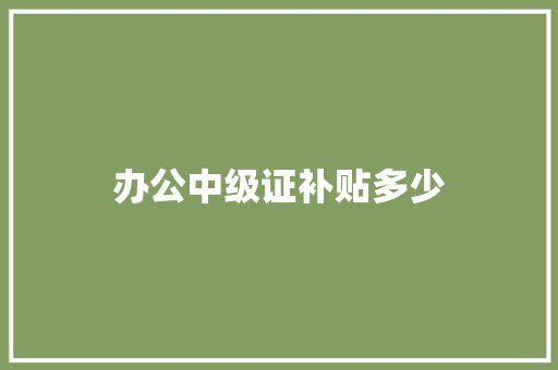 办公中级证补贴多少