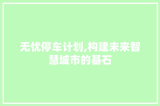 无忧停车计划,构建未来智慧城市的基石