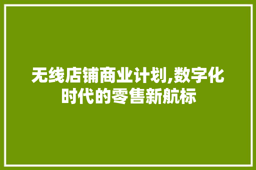 无线店铺商业计划,数字化时代的零售新航标