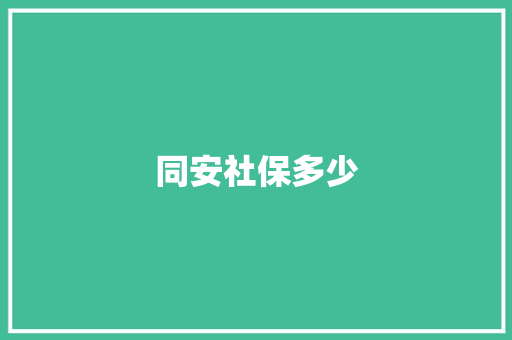 同安社保多少