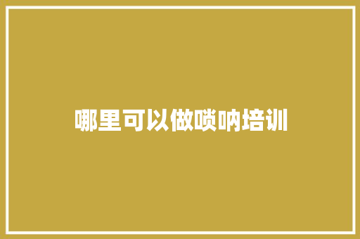 哪里可以做唢呐培训