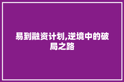 易到融资计划,逆境中的破局之路