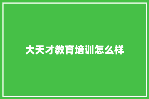 大天才教育培训怎么样