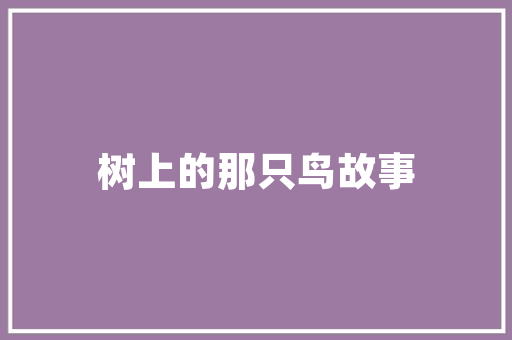 托福和雅思要学多久