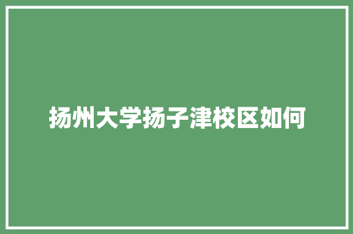 扬州大学扬子津校区如何