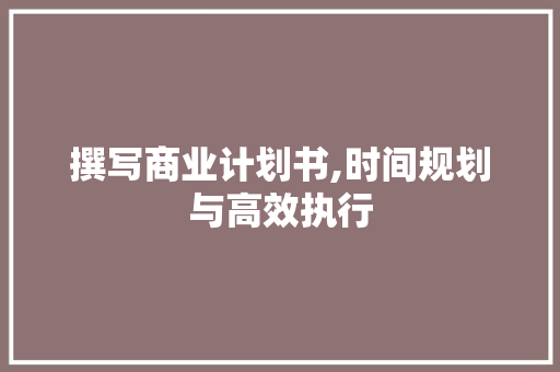 撰写商业计划书,时间规划与高效执行 生活感悟