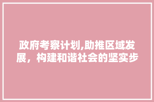 政府考察计划,助推区域发展，构建和谐社会的坚实步伐