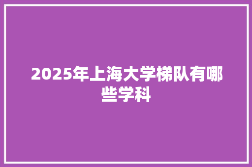 2025年上海大学梯队有哪些学科