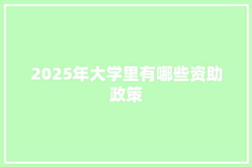 2025年大学里有哪些资助政策