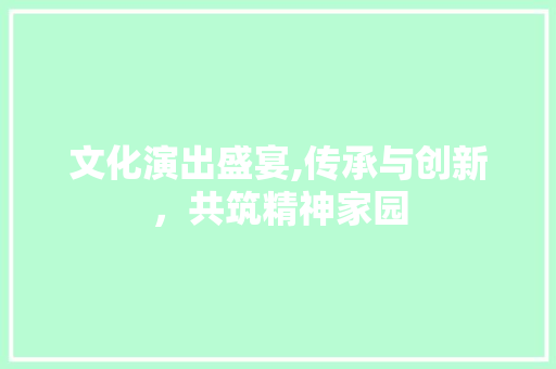 文化演出盛宴,传承与创新，共筑精神家园