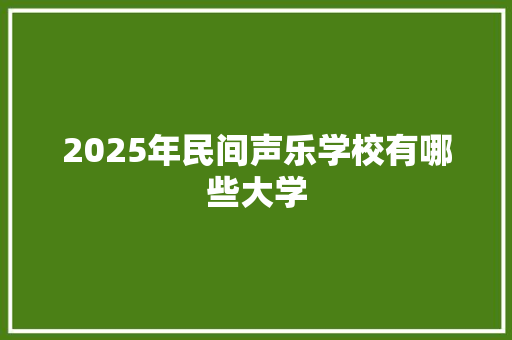 2025年民间声乐学校有哪些大学
