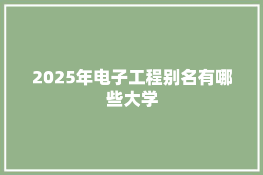 2025年电子工程别名有哪些大学