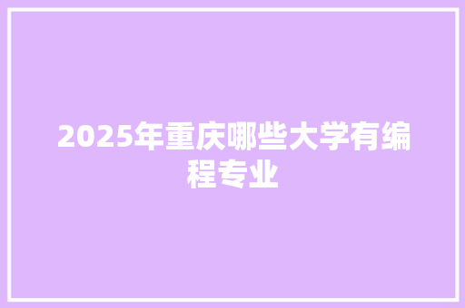 2025年重庆哪些大学有编程专业