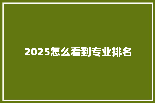 2025怎么看到专业排名