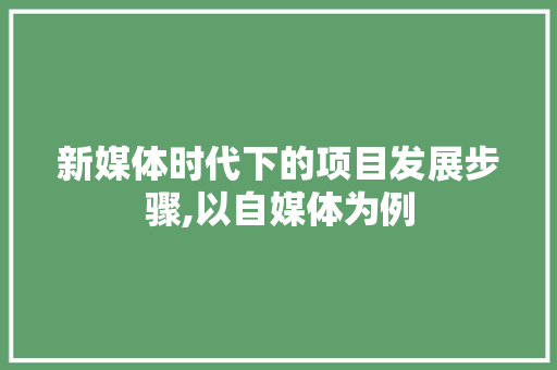 新媒体时代下的项目发展步骤,以自媒体为例