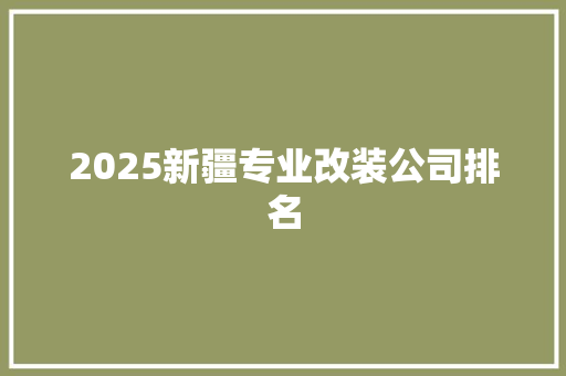 2025新疆专业改装公司排名