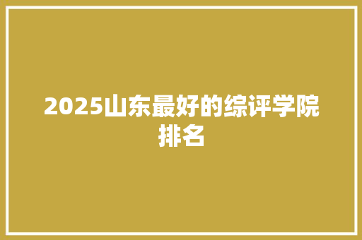 2025山东最好的综评学院排名