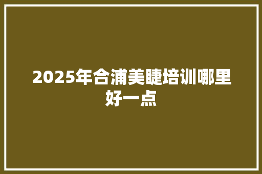 2025年合浦美睫培训哪里好一点 工作报告