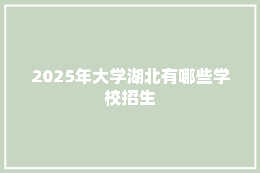 2025年大学湖北有哪些学校招生