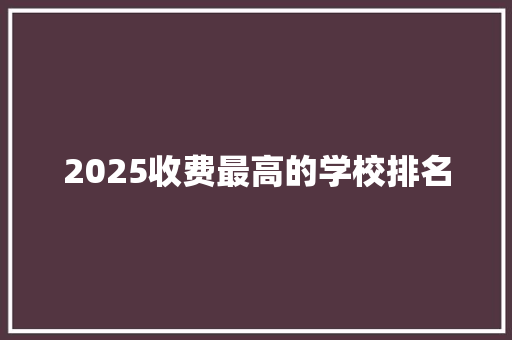 2025收费最高的学校排名 工作总结
