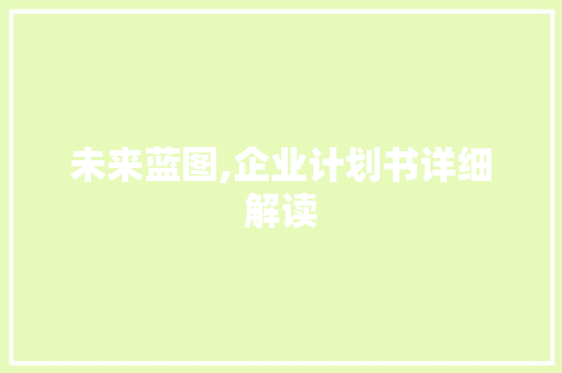 未来蓝图,企业计划书详细解读