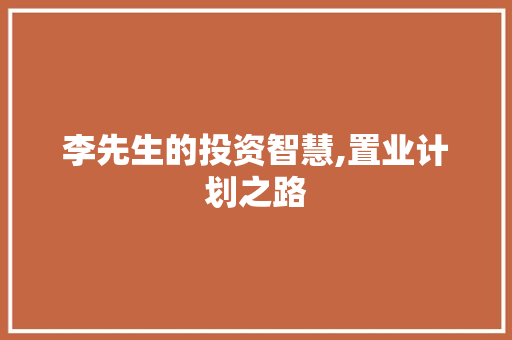 李先生的投资智慧,置业计划之路