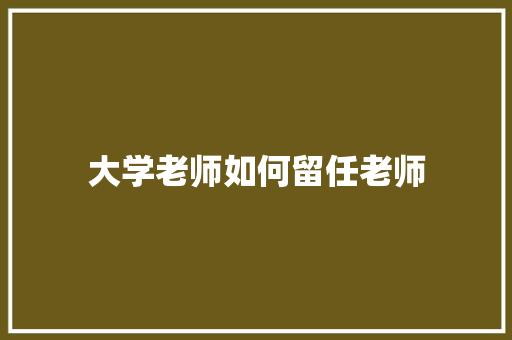 大学老师如何留任老师 工作报告