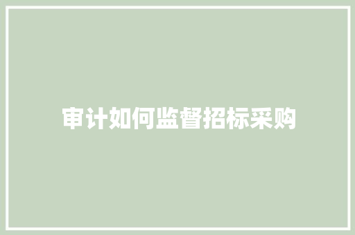 审计如何监督招标采购 商业文稿