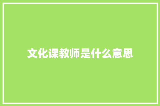 文化课教师是什么意思