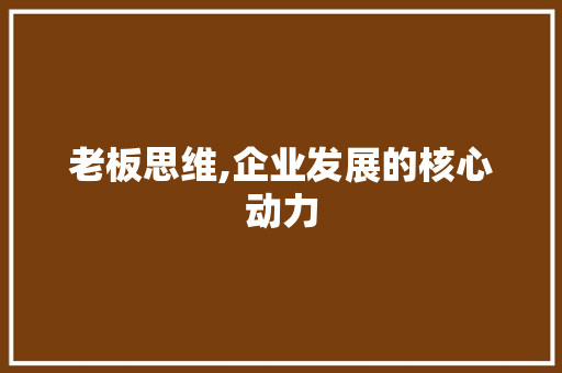 老板思维,企业发展的核心动力