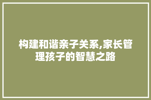 构建和谐亲子关系,家长管理孩子的智慧之路