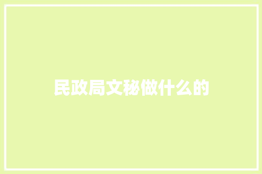 民政局文秘做什么的