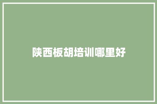 陕西板胡培训哪里好