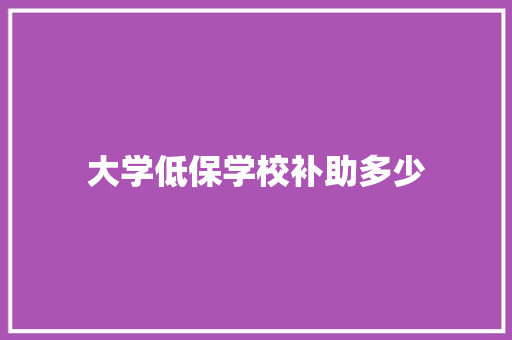 大学低保学校补助多少