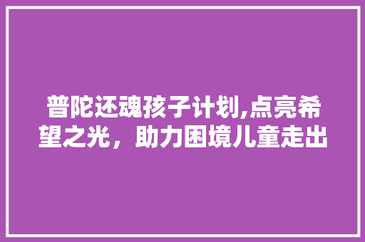 普陀还魂孩子计划,点亮希望之光，助力困境儿童走出阴霾
