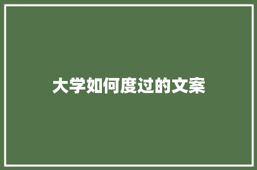 大学如何度过的文案