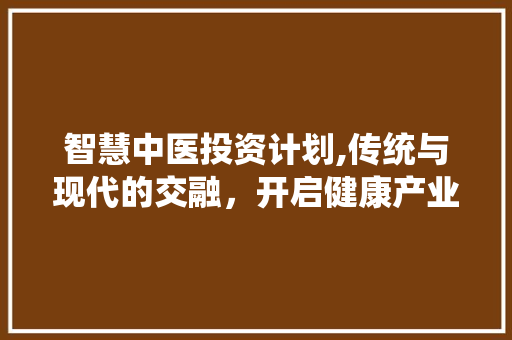 智慧中医投资计划,传统与现代的交融，开启健康产业新篇章