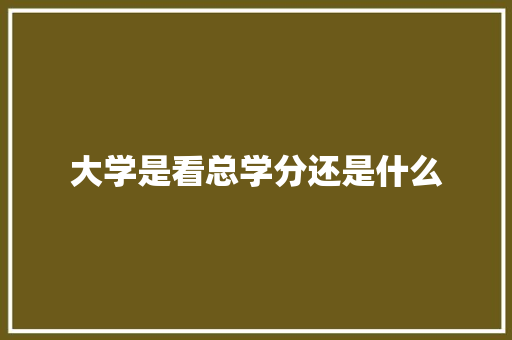 大学是看总学分还是什么