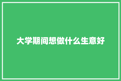 大学期间想做什么生意好
