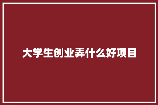 大学生创业弄什么好项目