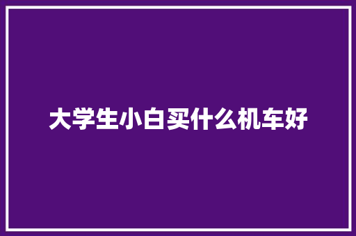 大学生小白买什么机车好
