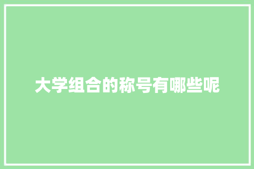 大学组合的称号有哪些呢 采访稿