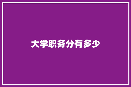 大学职务分有多少 工作总结